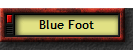 Blue Foot